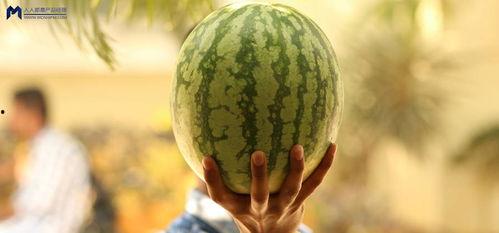 娱乐圈的大瓜吃瓜,揭秘明星背后的惊人真相