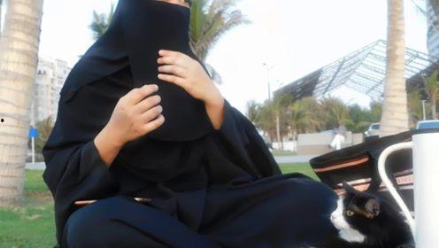 娱乐吃瓜君七七视频